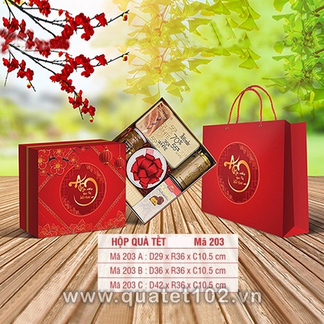 Hộp quà tết QT098