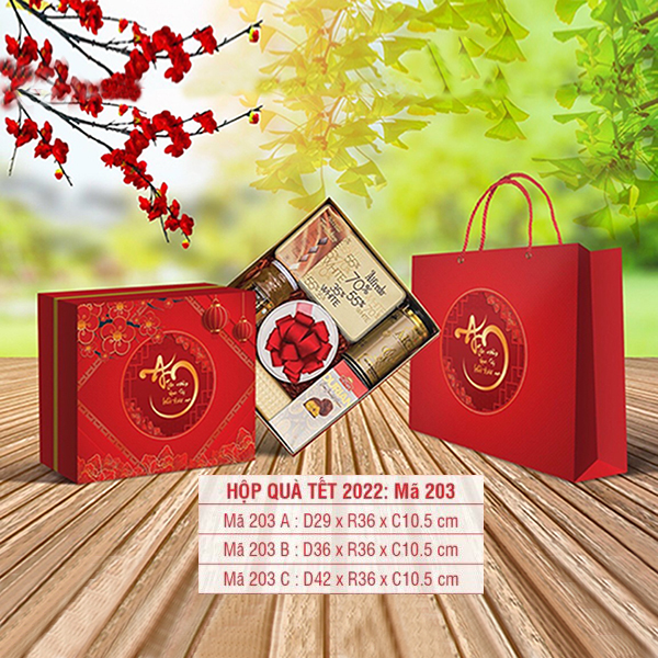 Hộp quà tết QT22124